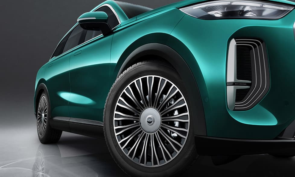 Extra-large 20-inch Multi-spoke Wheels