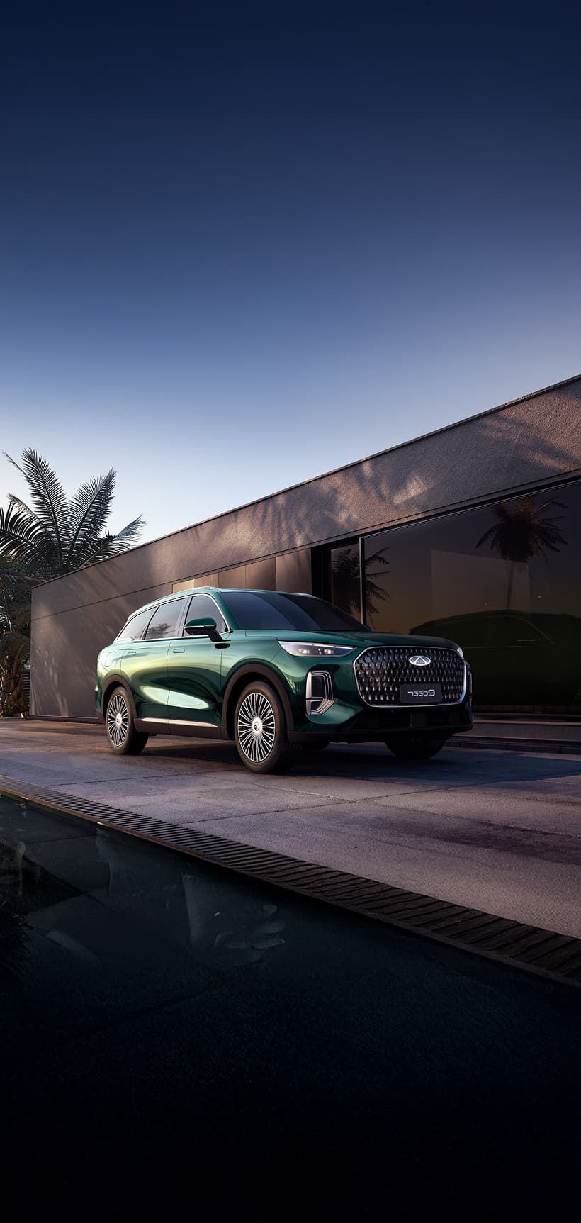 Tiggo 9